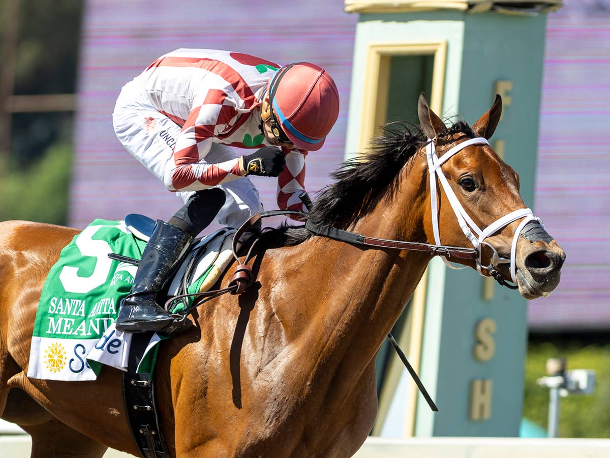 Meaning, Santa Anita Oaks