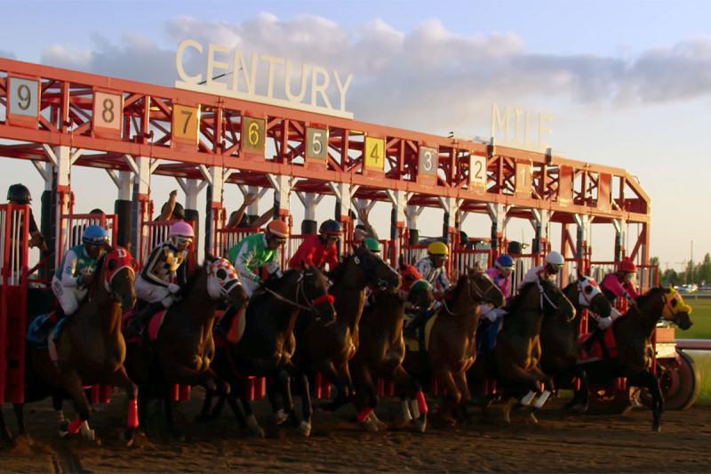 Century Downs Starting Gates